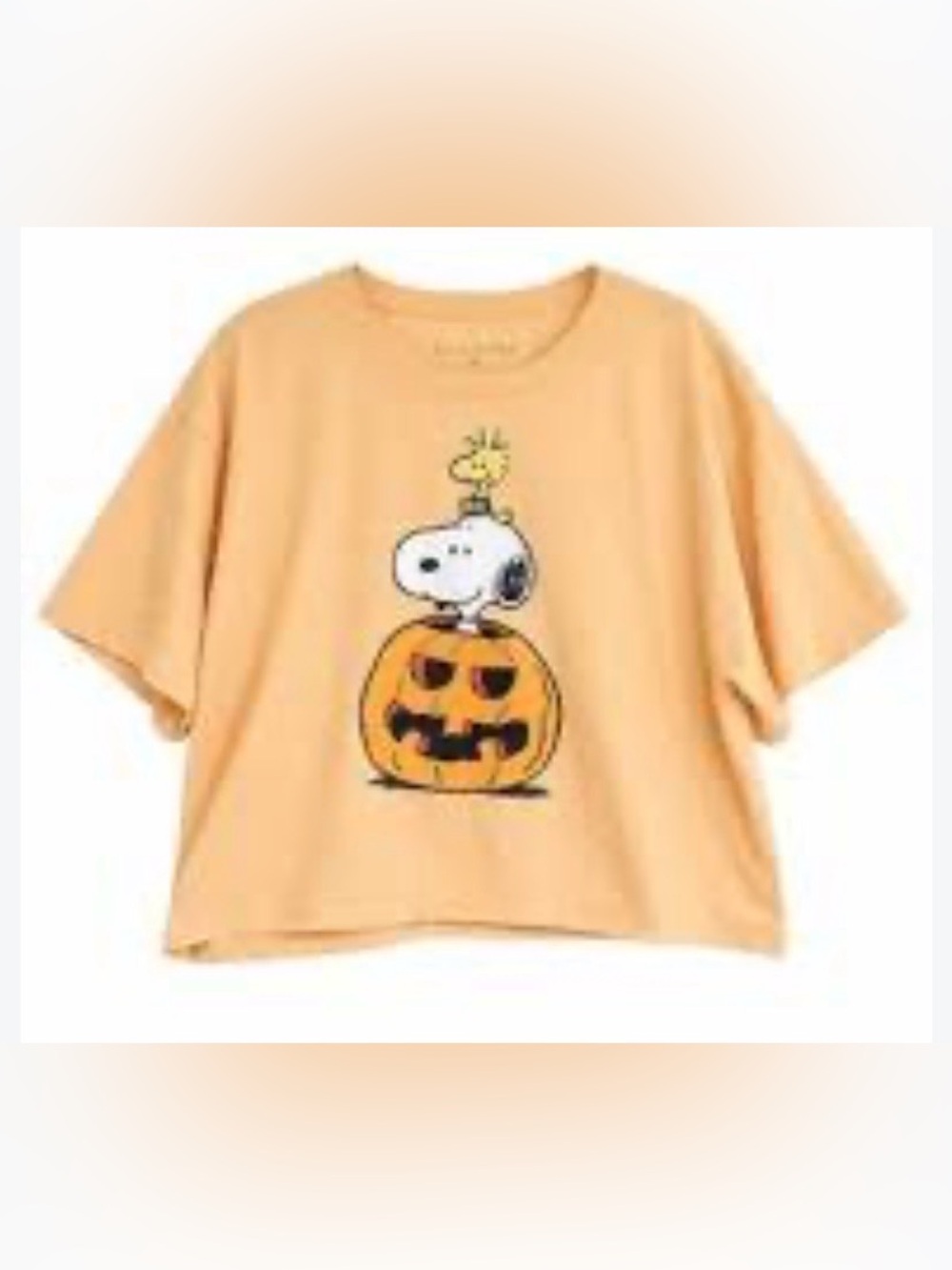 🆕 Snoopy Pumpkin 🎃 with Woodstock shirt. Size XL. NWT